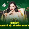 ZM88-Chơi casino trực tuyến – Hòa mình vào niềm vui!